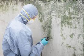 Best Crawl Space Mold Remediation in Wooster, OH